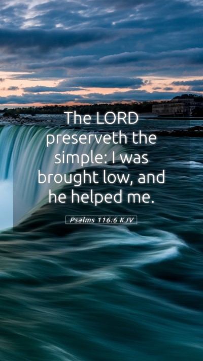 Picture 05 - Psalms 116:6 KJV Mobile Phone Wallpaper - The LORD preserveth the simple: I was brought - Mobile Bible Verse Wallpaper