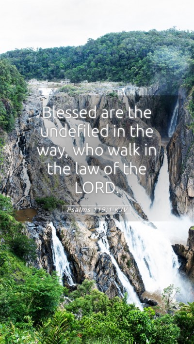 Picture 05 - Psalms 119:1 KJV Mobile Phone Wallpaper - Blessed are the undefiled in the way, who walk in - Mobile Bible Verse Wallpaper