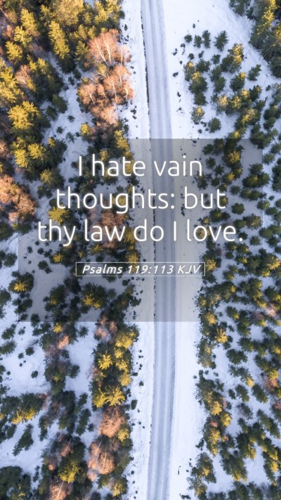 Picture 05 - Psalms 119:113 KJV Mobile Phone Wallpaper - I hate vain thoughts: but thy law do I - Mobile Bible Verse Wallpaper