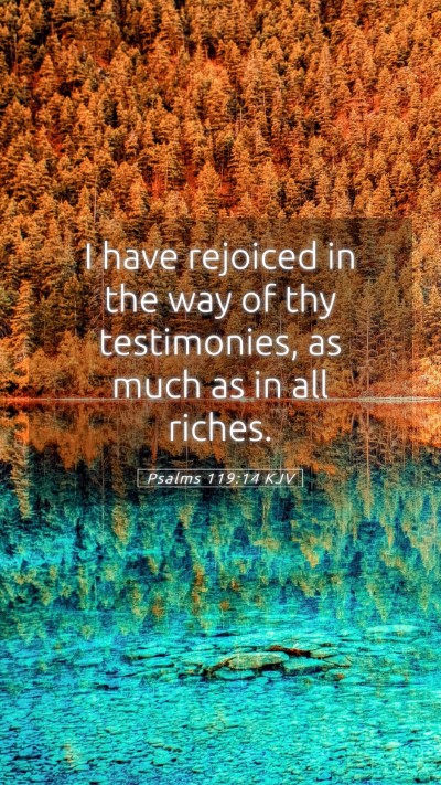 Picture 05 - Psalms 119:14 KJV Mobile Phone Wallpaper - I have rejoiced in the way of thy testimonies, as - Mobile Bible Verse Wallpaper