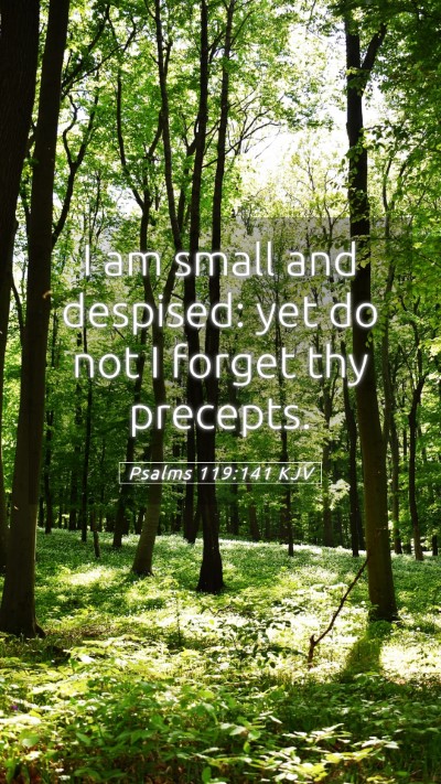 Picture 05 - Psalms 119:141 KJV Mobile Phone Wallpaper - I am small and despised: yet do not I forget thy - Mobile Bible Verse Wallpaper