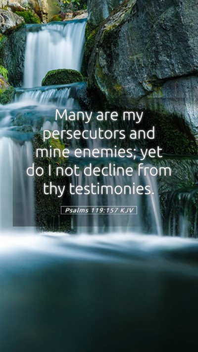 Picture 05 - Psalms 119:157 KJV Mobile Phone Wallpaper - Many are my persecutors and mine enemies; yet do - Mobile Bible Verse Wallpaper