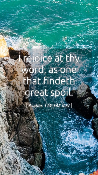 Picture 05 - Psalms 119:162 KJV Mobile Phone Wallpaper - I rejoice at thy word, as one that findeth great - Mobile Bible Verse Wallpaper