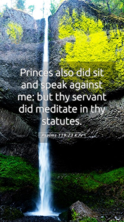 Picture 05 - Psalms 119:23 KJV Mobile Phone Wallpaper - Princes also did sit and speak against me: but - Mobile Bible Verse Wallpaper