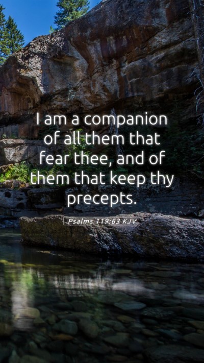 Picture 05 - Psalms 119:63 KJV Mobile Phone Wallpaper - I am a companion of all them that fear thee, and - Mobile Bible Verse Wallpaper