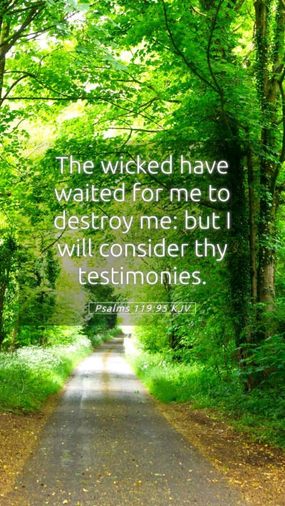 Picture 05 - Psalms 119:95 KJV Mobile Phone Wallpaper - The wicked have waited for me to destroy me: but - Mobile Bible Verse Wallpaper