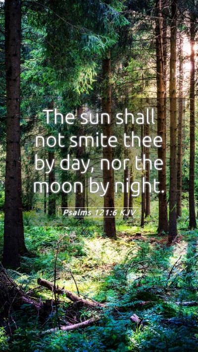 Picture 05 - Psalms 121:6 KJV Mobile Phone Wallpaper - The sun shall not smite thee by day, nor the moon - Mobile Bible Verse Wallpaper