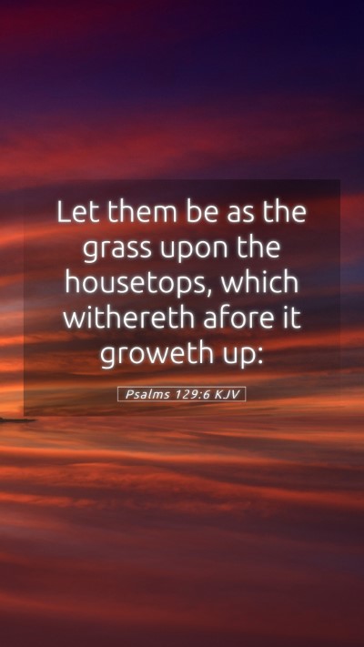 Picture 05 - Psalms 129:6 KJV Mobile Phone Wallpaper - Let them be as the grass upon the housetops, - Mobile Bible Verse Wallpaper