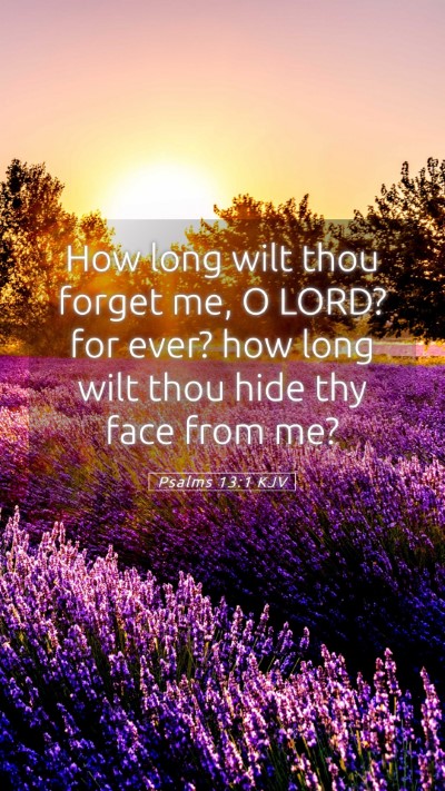 Picture 05 - Psalms 13:1 KJV Mobile Phone Wallpaper - How long wilt thou forget me, O LORD? for ever? - Mobile Bible Verse Wallpaper