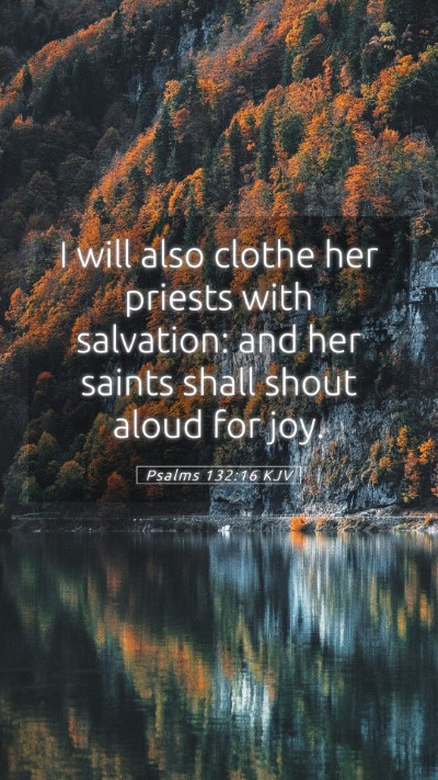 Picture 05 - Psalms 132:16 KJV Mobile Phone Wallpaper - I will also clothe her priests with salvation: - Mobile Bible Verse Wallpaper