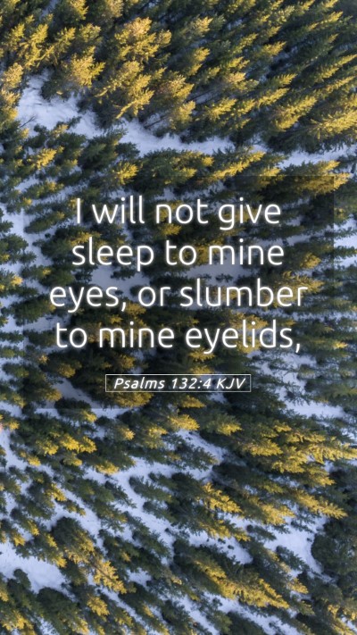 Picture 05 - Psalms 132:4 KJV Mobile Phone Wallpaper - I will not give sleep to mine eyes, or slumber to - Mobile Bible Verse Wallpaper