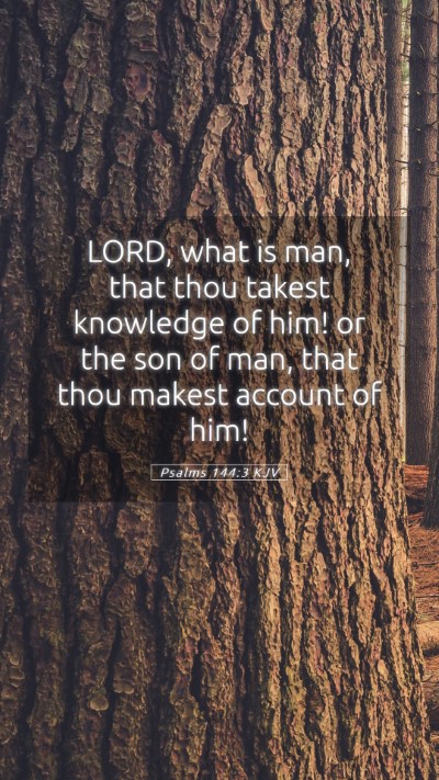 Picture 05 - Psalms 144:3 KJV Mobile Phone Wallpaper - LORD, what is man, that thou takest knowledge of - Mobile Bible Verse Wallpaper