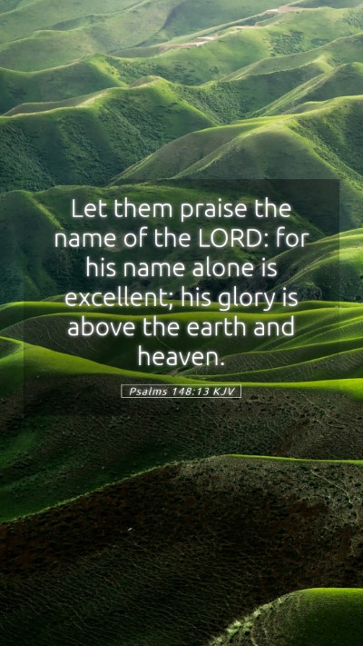 Picture 05 - Psalms 148:13 KJV Mobile Phone Wallpaper - Let them praise the name of the LORD: for his - Mobile Bible Verse Wallpaper