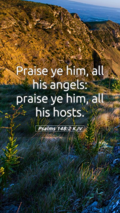 Picture 05 - Psalms 148:2 KJV Mobile Phone Wallpaper - Praise ye him, all his angels: praise ye him, all - Mobile Bible Verse Wallpaper