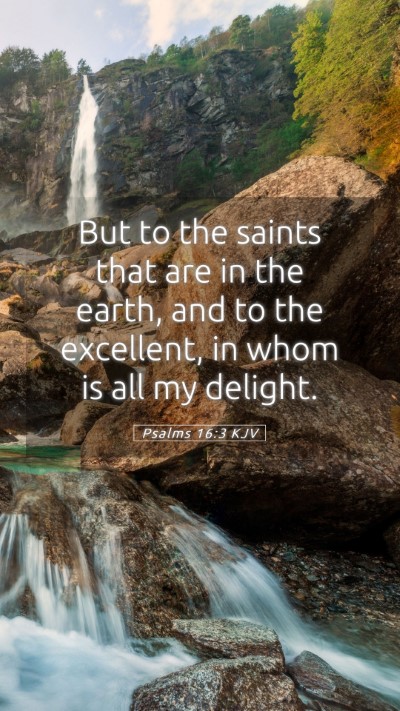 Picture 05 - Psalms 16:3 KJV Mobile Phone Wallpaper - But to the saints that are in the earth, and to - Mobile Bible Verse Wallpaper
