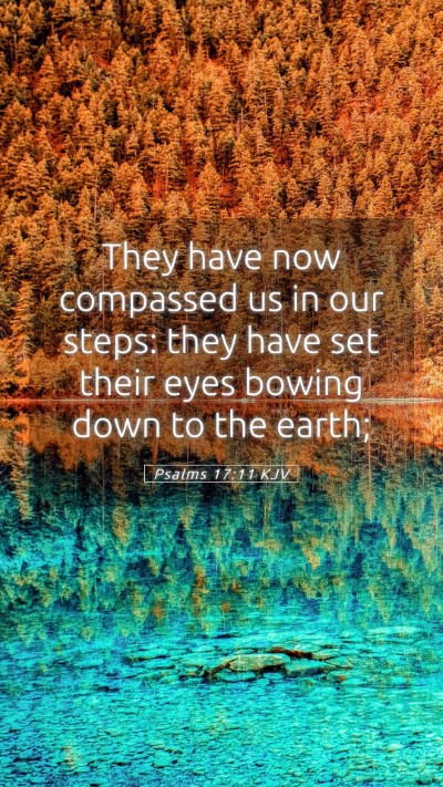 Picture 05 - Psalms 17:11 KJV Mobile Phone Wallpaper - They have now compassed us in our steps: they - Mobile Bible Verse Wallpaper