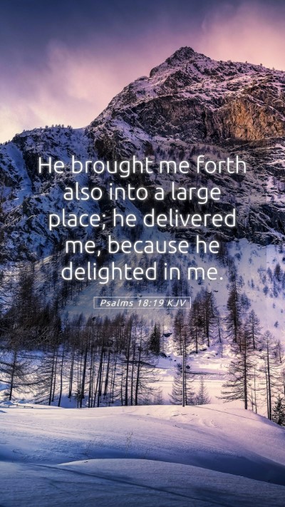 Picture 05 - Psalms 18:19 KJV Mobile Phone Wallpaper - He brought me forth also into a large place; he - Mobile Bible Verse Wallpaper