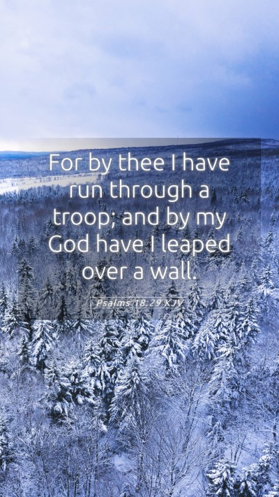 Picture 05 - Psalms 18:29 KJV Mobile Phone Wallpaper - For by thee I have run through a troop; and by my - Mobile Bible Verse Wallpaper