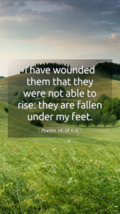 Picture 05 - Psalms 18:38 KJV Mobile Phone Wallpaper - I have wounded them that they were not able to - Mobile Bible Verse Wallpaper