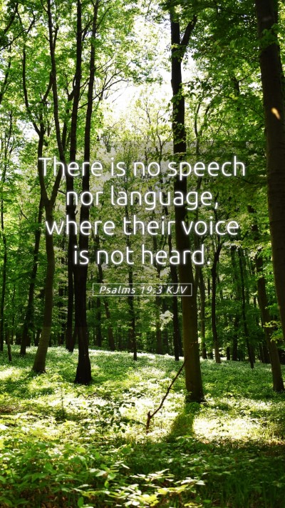 Picture 05 - Psalms 19:3 KJV Mobile Phone Wallpaper - There is no speech nor language, where their - Mobile Bible Verse Wallpaper