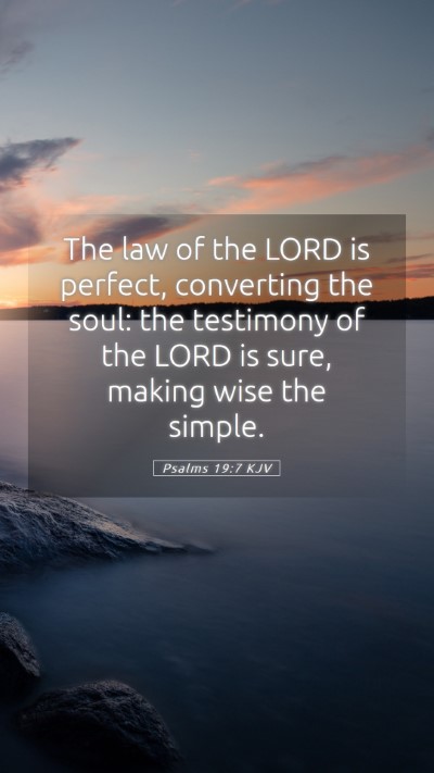 Picture 05 - Psalms 19:7 KJV Mobile Phone Wallpaper - The law of the LORD is perfect, converting the - Mobile Bible Verse Wallpaper