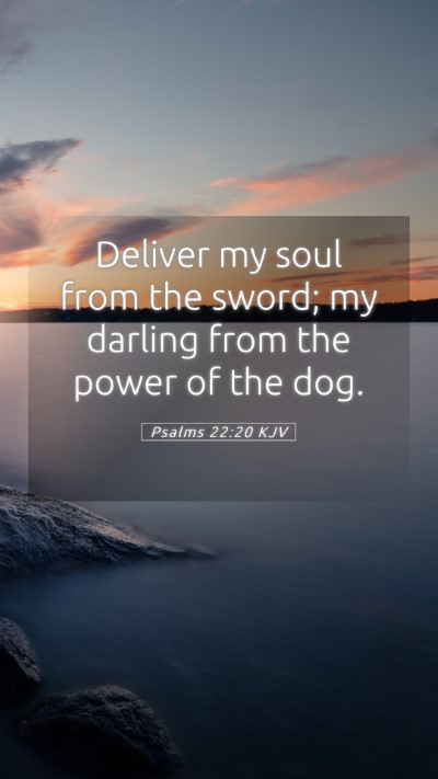 Picture 05 - Psalms 22:20 KJV Mobile Phone Wallpaper - Deliver my soul from the sword; my darling from - Mobile Bible Verse Wallpaper