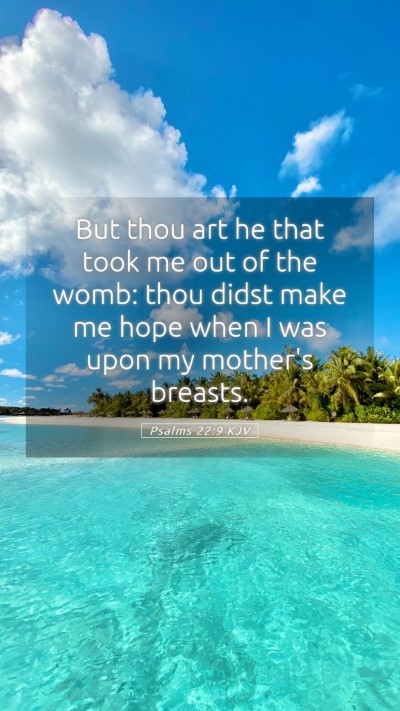 Picture 05 - Psalms 22:9 KJV Mobile Phone Wallpaper - But thou art he that took me out of the womb: - Mobile Bible Verse Wallpaper
