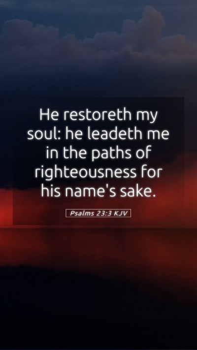 Picture 05 - Psalms 23:3 KJV Mobile Phone Wallpaper - He restoreth my soul: he leadeth me in the paths - Mobile Bible Verse Wallpaper
