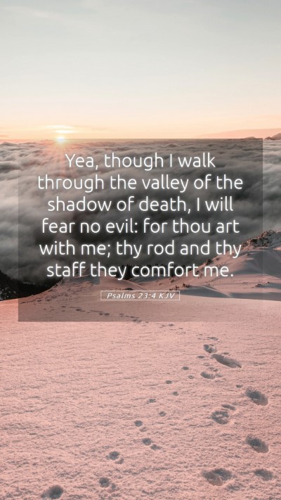 Picture 05 - Psalms 23:4 KJV Mobile Phone Wallpaper - Yea, though I walk through the valley of the - Mobile Bible Verse Wallpaper