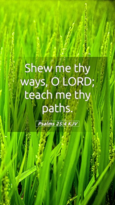 Picture 05 - Psalms 25:4 KJV Mobile Phone Wallpaper - Shew me thy ways, O LORD; teach me thy - Mobile Bible Verse Wallpaper