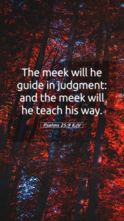 Picture 05 - Psalms 25:9 KJV Mobile Phone Wallpaper - The meek will he guide in judgment: and the meek - Mobile Bible Verse Wallpaper