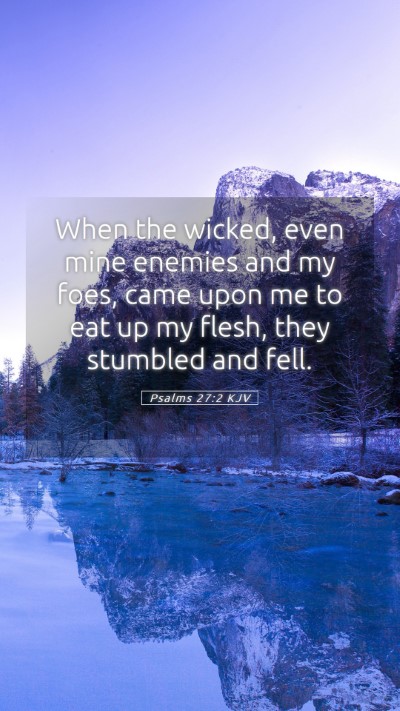 Picture 05 - Psalms 27:2 KJV Mobile Phone Wallpaper - When the wicked, even mine enemies and my foes, - Mobile Bible Verse Wallpaper