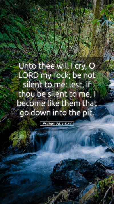 Picture 05 - Psalms 28:1 KJV Mobile Phone Wallpaper - Unto thee will I cry, O LORD my rock; be not - Mobile Bible Verse Wallpaper