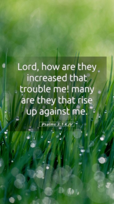 Picture 05 - Psalms 3:1 KJV Mobile Phone Wallpaper - Lord, how are they increased that trouble me! - Mobile Bible Verse Wallpaper