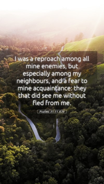 Picture 05 - Psalms 31:11 KJV Mobile Phone Wallpaper - I was a reproach among all mine enemies, but - Mobile Bible Verse Wallpaper