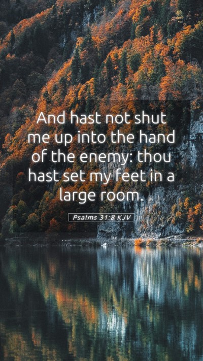 Picture 05 - Psalms 31:8 KJV Mobile Phone Wallpaper - And hast not shut me up into the hand of the - Mobile Bible Verse Wallpaper