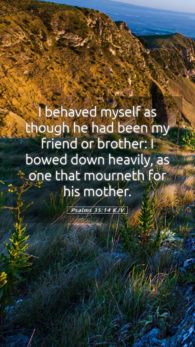 Picture 05 - Psalms 35:14 KJV Mobile Phone Wallpaper - I behaved myself as though he had been my friend - Mobile Bible Verse Wallpaper