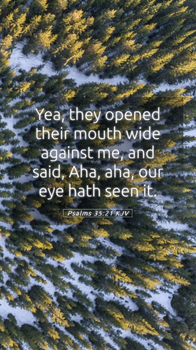 Picture 05 - Psalms 35:21 KJV Mobile Phone Wallpaper - Yea, they opened their mouth wide against me, and - Mobile Bible Verse Wallpaper