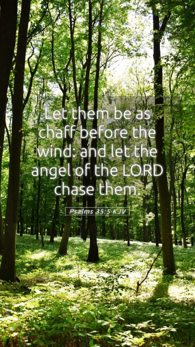 Picture 05 - Psalms 35:5 KJV Mobile Phone Wallpaper - Let them be as chaff before the wind: and let the - Mobile Bible Verse Wallpaper