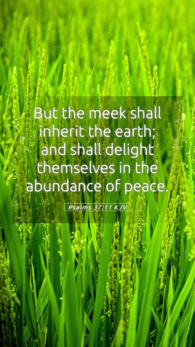 Picture 05 - Psalms 37:11 KJV Mobile Phone Wallpaper - But the meek shall inherit the earth; and shall - Mobile Bible Verse Wallpaper