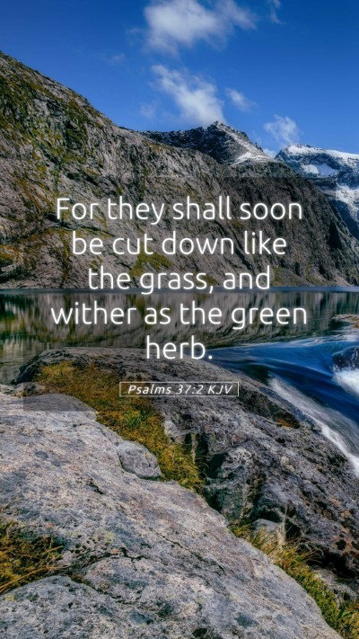 Picture 05 - Psalms 37:2 KJV Mobile Phone Wallpaper - For they shall soon be cut down like the grass, - Mobile Bible Verse Wallpaper