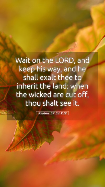 Picture 05 - Psalms 37:34 KJV Mobile Phone Wallpaper - Wait on the LORD, and keep his way, and he shall - Mobile Bible Verse Wallpaper