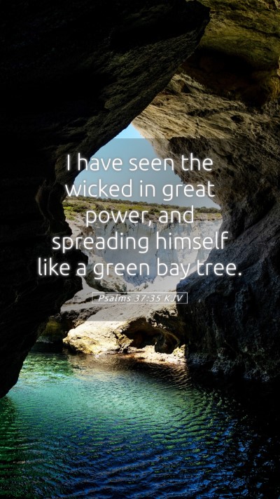 Picture 05 - Psalms 37:35 KJV Mobile Phone Wallpaper - I have seen the wicked in great power, and - Mobile Bible Verse Wallpaper