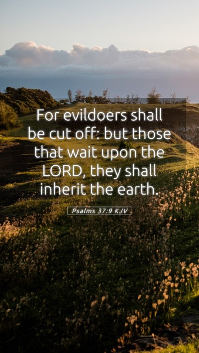 Picture 05 - Psalms 37:9 KJV Mobile Phone Wallpaper - For evildoers shall be cut off: but those that - Mobile Bible Verse Wallpaper