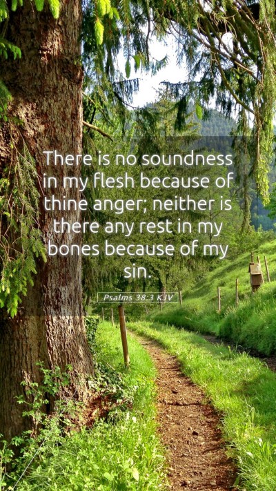 Picture 05 - Psalms 38:3 KJV Mobile Phone Wallpaper - There is no soundness in my flesh because of - Mobile Bible Verse Wallpaper