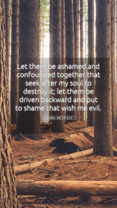 Picture 05 - Psalms 40:14 KJV Mobile Phone Wallpaper - Let them be ashamed and confounded together that - Mobile Bible Verse Wallpaper