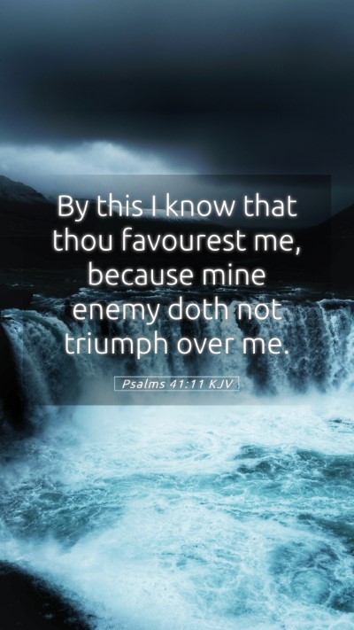 Picture 05 - Psalms 41:11 KJV Mobile Phone Wallpaper - By this I know that thou favourest me, because - Mobile Bible Verse Wallpaper