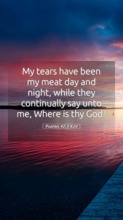 Picture 05 - Psalms 42:3 KJV Mobile Phone Wallpaper - My tears have been my meat day and night, while - Mobile Bible Verse Wallpaper