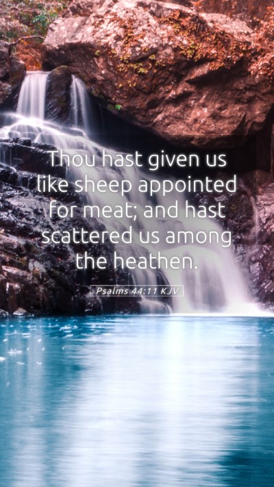 Picture 05 - Psalms 44:11 KJV Mobile Phone Wallpaper - Thou hast given us like sheep appointed for meat; - Mobile Bible Verse Wallpaper