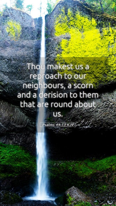 Picture 05 - Psalms 44:13 KJV Mobile Phone Wallpaper - Thou makest us a reproach to our neighbours, a - Mobile Bible Verse Wallpaper